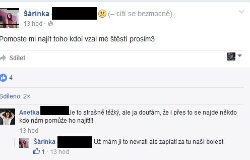 Maminka Simonky na Facebooku prosí veřejnost o pomoc při hledání viníka nehody, která jí vzala dceru.