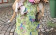 Simona Stašová se svými psími miláčky Fančou a Bédou. Simona Stašová se svými psími miláčky Fančou a Bédou.