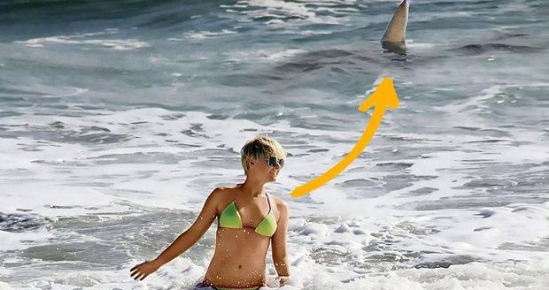 Blondýno, za tebou je žralok! Sexy modelka přehlédla obří parybu ve vlnách
