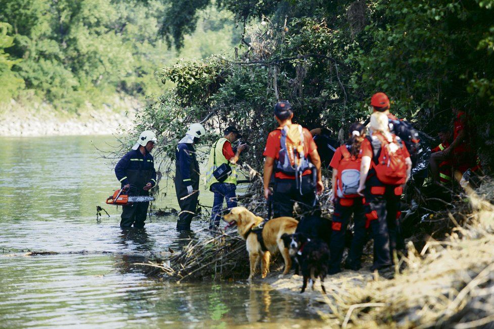 Záchranáři a hasiči osvobozují tělíčko mrtvé Simonky ze stromů, kde byla zaklíněna