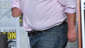 Tvůrce Simpsonových Matt Groening.