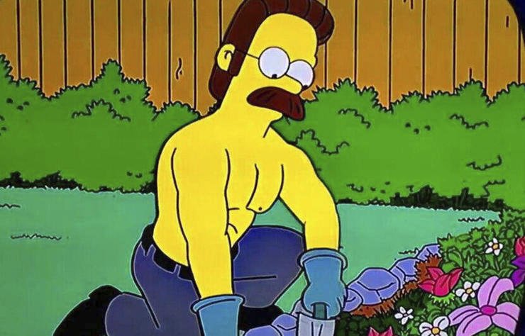 Brighton: Ned Flanders -Dost dlouho po očku nakukoval sousedovi přes plot a teď má konečně možnost přidat se k ostatním v Premier League. S ostatními vychází dobře, a ačkoliv si jeho přátelství můžou někteří špatně vykládat, nikdo proti němu nic nemá.