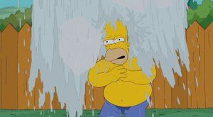 Tak jo! Homer Simpson a jeho Ice Bucket Challenge