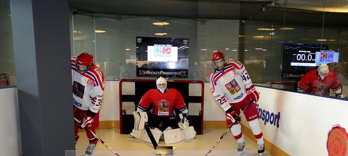 Český hokej se krátce před začátkem mistrovství světa v Praze a Ostravě dočkal kamenné Síně slávy, která je umístěna v prvním patře obchodního domu Harfa v Praze.