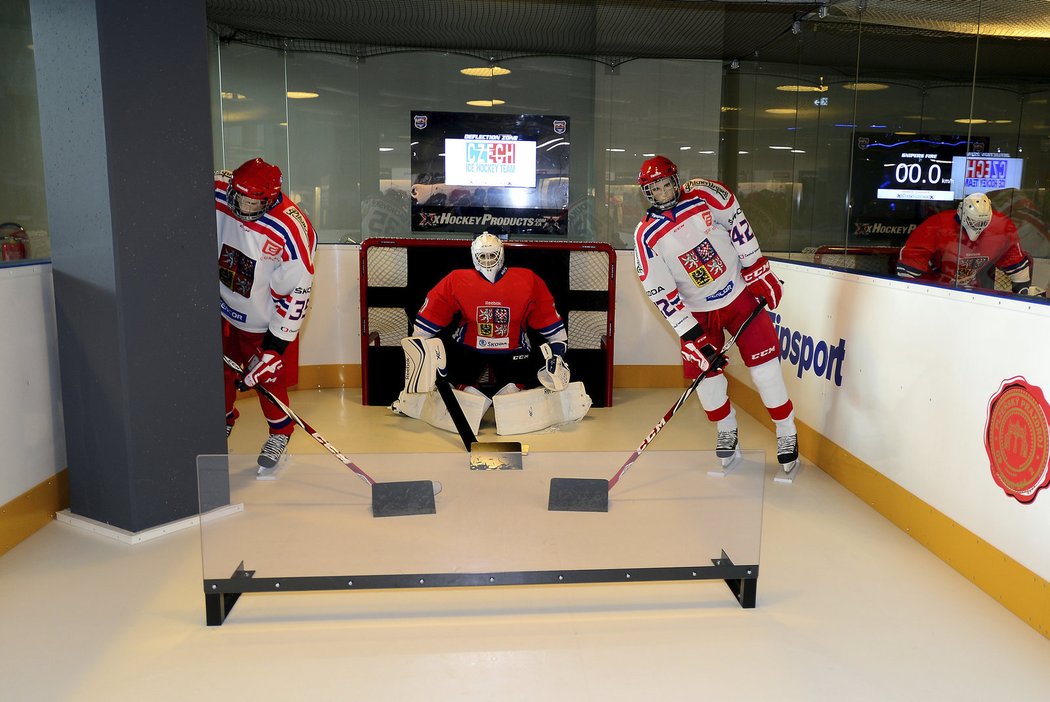 Český hokej se krátce před začátkem mistrovství světa v Praze a Ostravě dočkal kamenné Síně slávy, která je umístěna v prvním patře obchodního domu Harfa v Praze.