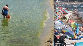 50 polských pláží zavřeli kvůli nebezpečným sinicím. Němci před koupáním u Baltu varují