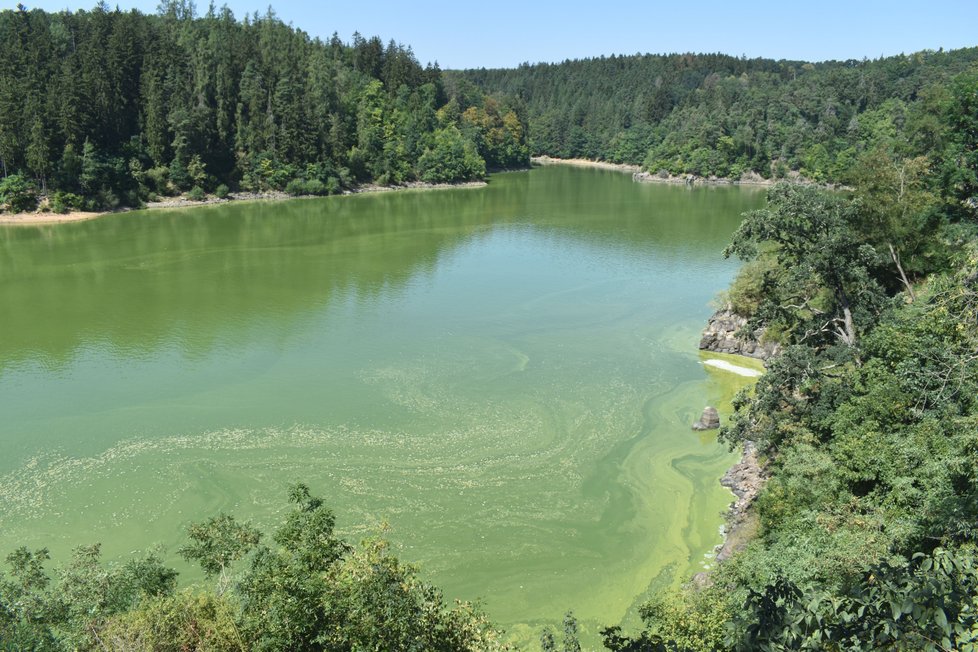 Kvalitu vody sledují hygienici, pokud vydají zákaz koupání, není radno jej porušovat.