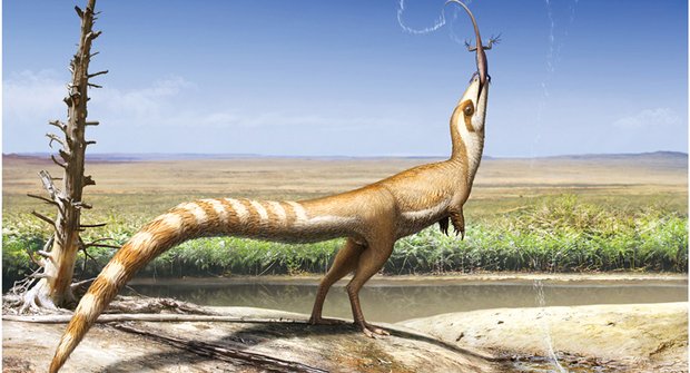 Dinosauří bandita: Sinosauopteryx nosil masku