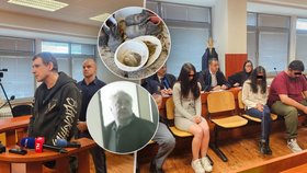 Soud ohledně případu týrání ženy v Siřemi