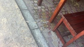V bulharském hotelu Sirena hosté zvraceli všude