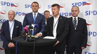 SPD hraje klíčovou roli v šíření rasové nenávisti, tvrdí vnitro