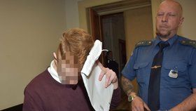 Student (22) ze středních Čech lovil školačky na internetu.