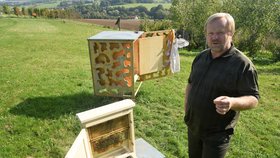 Pracovník odboru životního prostředí na novojičínské radnici a včelař Jiří Schindler dětem u skleněného úlu přednáší dětem o životě včel.