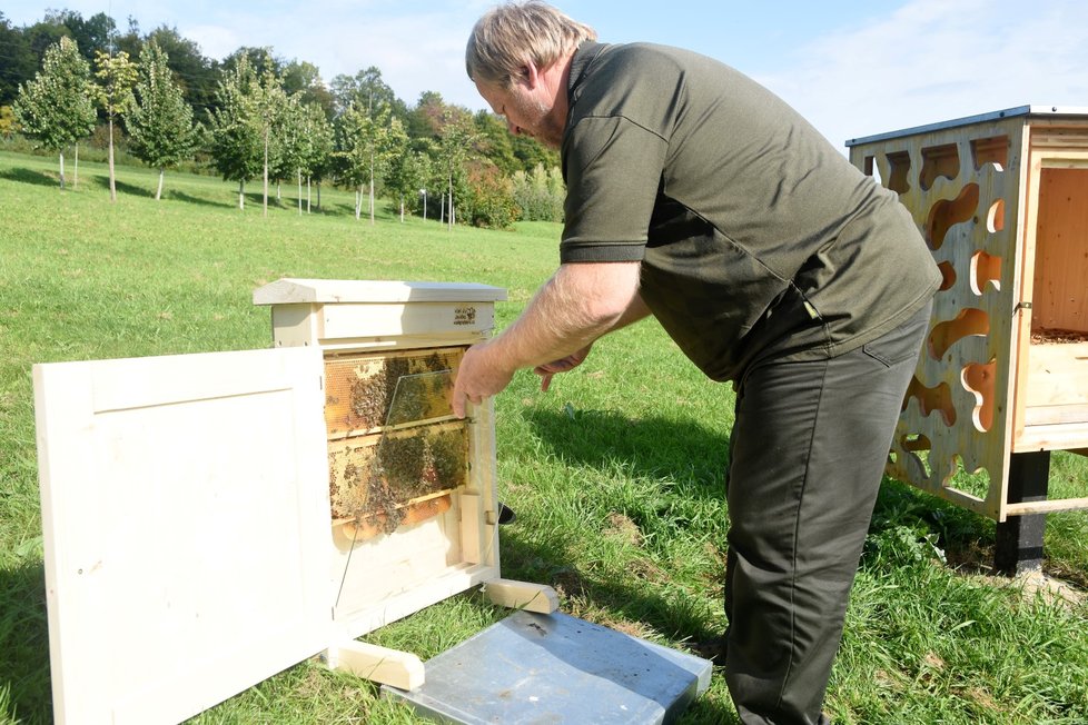 Pracovník odboru životního prostředí na novojičínské radnici a včelař Jiří Schindler dětem u skleněného úlu přednáší dětem o životě včel.