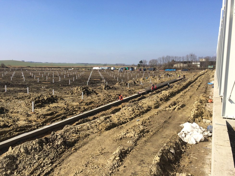 V Hustopečích vznikají první dva ze tří plánovaných obřích skleníků na rajčata. Dohromady budou mít rozlohu přes 8 hektarů.