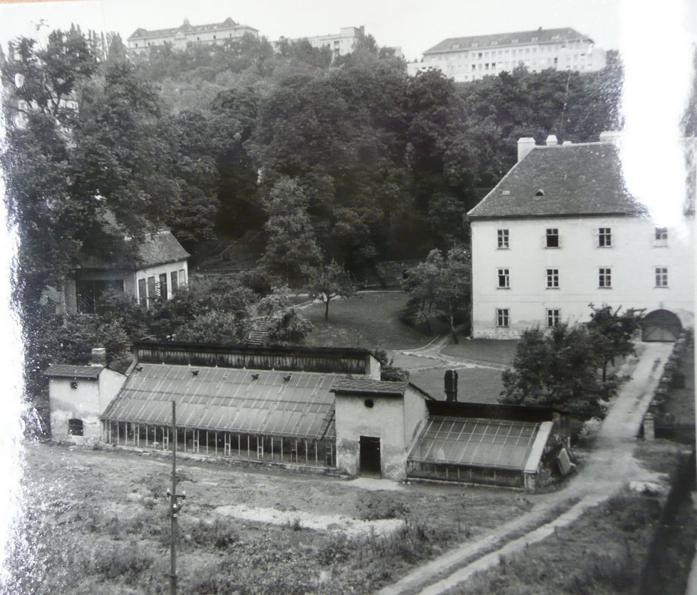 Snímek z 20.století před likvidací skleníku.