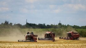 Sklizeň obilí v Záporožské oblasti, během ruské okupace