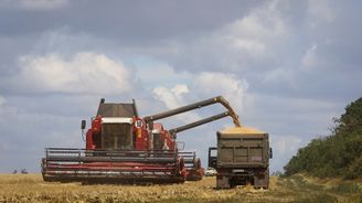 Pavel Páral: Strach z ukrajinské pšenice je strachem ze zlevnění potravin