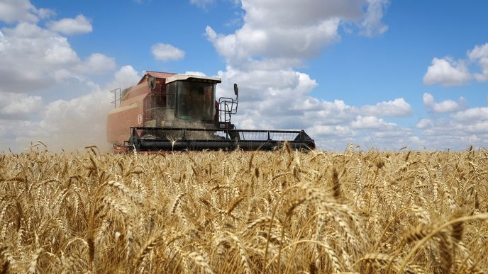 Dovoz ukrajinského obilí už zakázalo Polsko, Maďarsko a Slovensko. Ke stejnému kroku vyzývá česká Agrární komora.