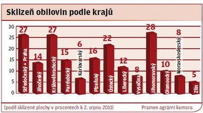 Sklizeň obilovin podle krajů