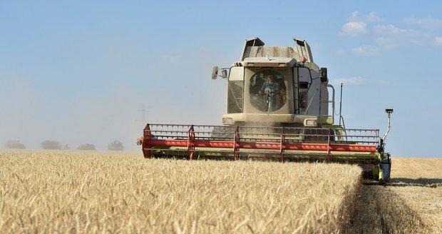 Zemědělce zdecimovalo sucho, hlásí škody za 12 miliard. Stát pomůže jen zlomkem