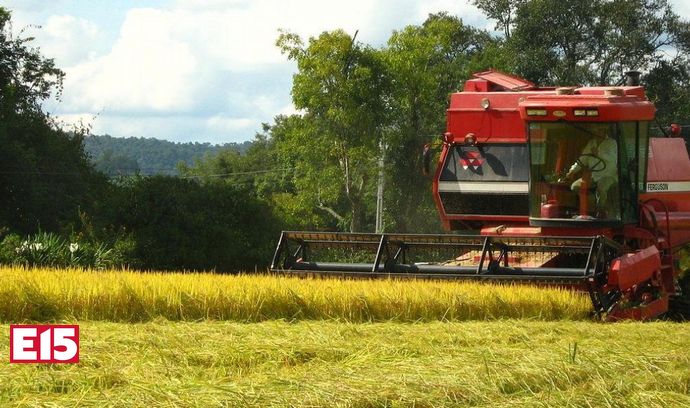 Brazil took a risk, handing out licenses to export food to Russia