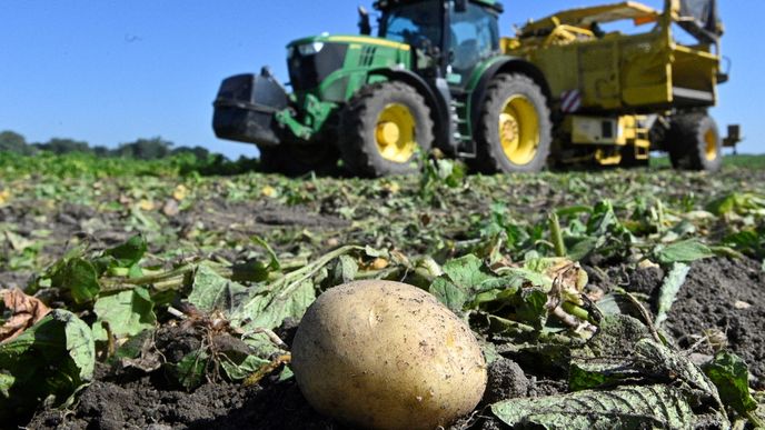 zahraniční pracovníci se podílejí významně například na sklizni