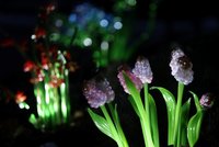 Křišťálová zahrada v Troji znovu září! Výstavu skláře Pačinka doprovází orchestr i videomapping