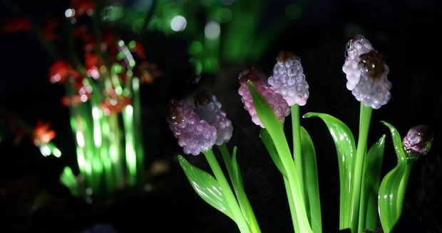 Křišťálová zahrada v Troji nabízí stovky skleněných instalací Jiřího Pačinka, nasvícené zimní expozice a večerní světelnou podívanou. Výstavu podpořili také ambasadoři z řad známých herců a umělců.