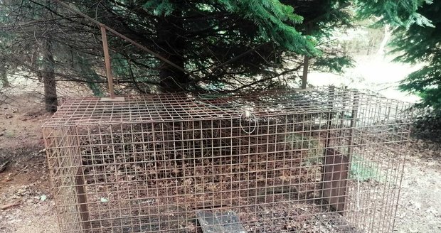 Sklopce u Šestajovic nahání místním hrůzu, to co tam občas najdou, není pro slabé povahy