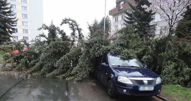 Silné bouře vystřídaly tropy. Stromy padaly na auta v Prostějově (ilustrační foto)