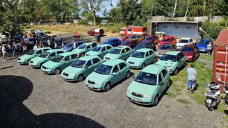 Pistáciové fabie Pistáciové fabie