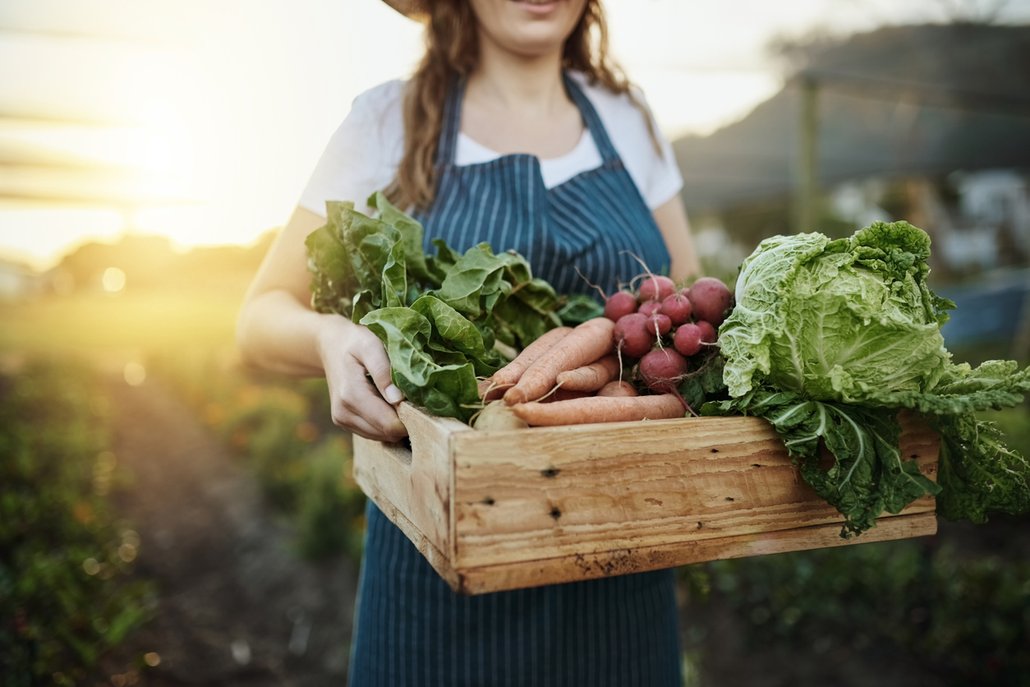 Za každým jídlem je skrytý příběh. Začíná u farmáře a končí u vás na talíři