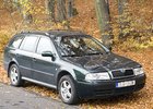 Ti nejlepší na MOJE.AUTO.CZ: Škoda Octavia Combi 4x4 1,9 TDI (2002)