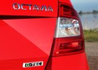 Škoda Octavia G-Tec na CNG: Vyplatí se?