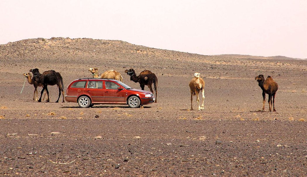 Škoda Octavia Combi 4x4 (2003)