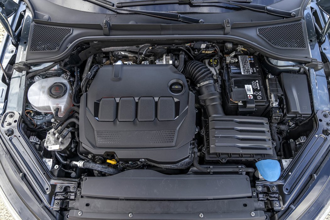 Motor 2.0 TDI z poslední řady EA 288 Evo existuje ve dvou zcela mechanicky odlišných provedení. Zatímco varianty s výkonem 85 a 110 kW v obyčejných modelech jsou litinové s ocelovými písty, tak silná verze 147 kW v RS má písty a blok hliníkové.