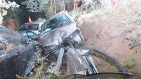 Řidič škodovky zemřel po havárii na Písecku.