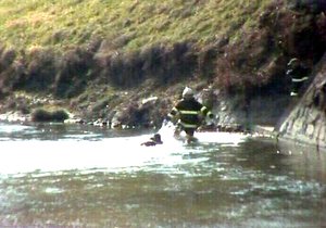 Hasiči pomáhají skokanovi (23) z Dyje na břeh. V řece bylo po kolena vody.