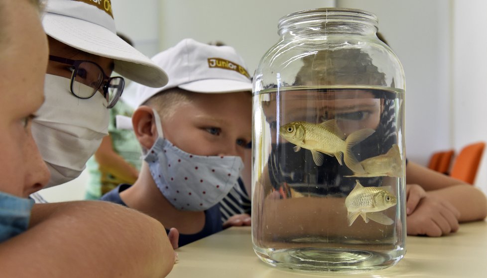 Školáky čeká od 1. září ve školách spousta novinek, včetně nošení roušek mimo třídy.