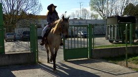 Karla dorazila do školy na koni.