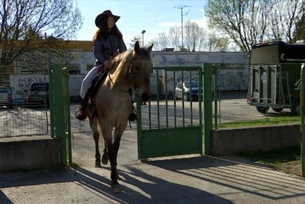 Žáci si na biologii měli přinést domácí mazlíčky. Karla vzala do školy koně