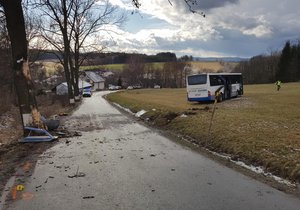 Na Jihlavsku v silné vánici havaroval školní autobus. Řidič narazil do stromu vedle silnice.