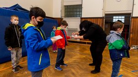 Ředitelka základní školy Chabařovice na Ústecku Dagmar Brožová (druhá zprava) provádí s žáky v tělocvičně školy testy na koronavirus. Vláda rozhodla, že žáci prvního stupně základních škol se od tohoto dne vrátí do lavic v rotační formě, ve školách je jen polovina žáků (12. 4. 2021).