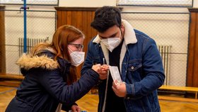 Žáci základní školy Chabařovice na Ústecku si provádí v tělocvičně školy testy na koronavirus. Vláda rozhodla, že žáci prvního stupně základních škol se od tohoto dne vrátí do lavic v rotační formě, ve školách jich je jen polovina (12. 4. 2021)