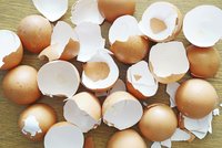Skvělé triky, jak užitečně využít skořápky od vajec