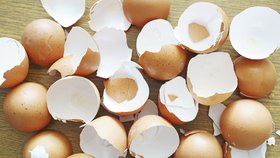 Skvělé triky, jak užitečně využít skořápky od vajec