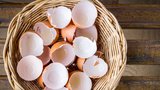 Vaječné skořápky jsou skvělý pomocník: 7 nápadů, jak je doma využít!