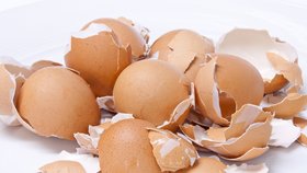 Vaječné skořápky mají v domácnosti širokou škálu využití.