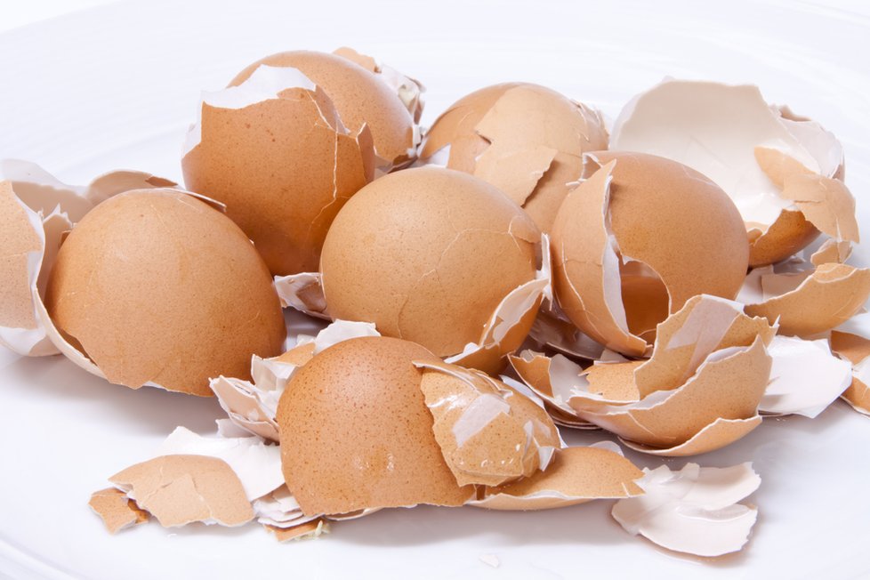 Jak se vejce skladují?